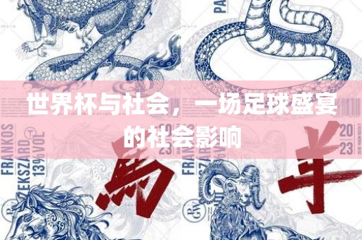 世界杯与社会，一场足球盛宴的社会影响