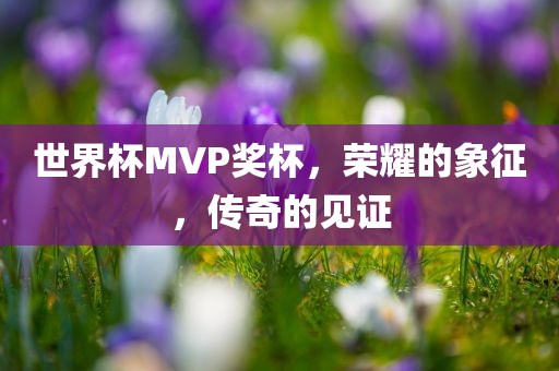 世界杯MVP奖杯，荣耀的象征，传奇的见证