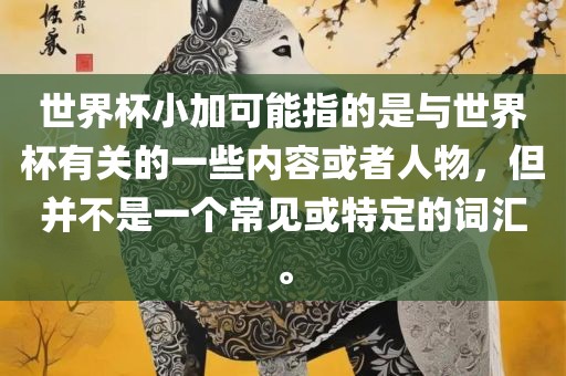 世界杯小加可能指的是与世界杯有关的一些内容或者人物，但并不是一个常见或特定的词汇。