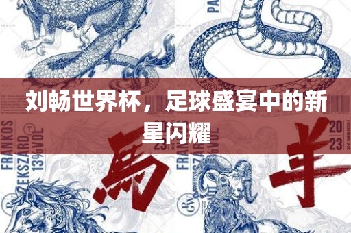 刘畅世界杯，足球盛宴中的新星闪耀