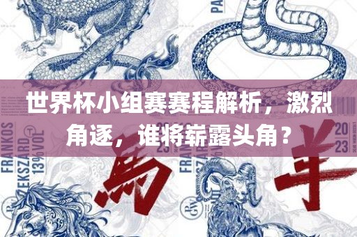 世界杯小组赛赛程解析，激烈角逐，谁将崭露头角？