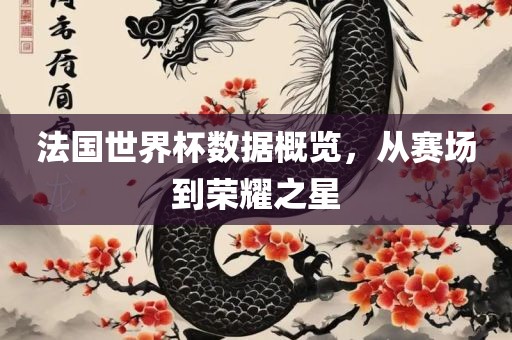 法国世界杯数据概览，从赛场到荣耀之星