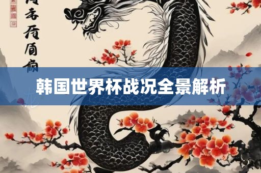 韩国世界杯战况全景解析