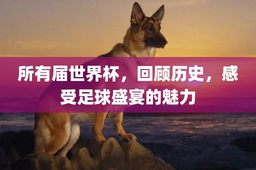 所有届世界杯，回顾历史，感受足球盛宴的魅力漯河市盈旭机械设备有限公司