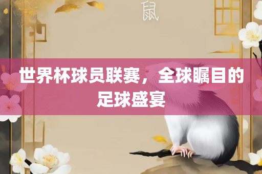 世界杯球员联赛，全球瞩目的足球盛宴