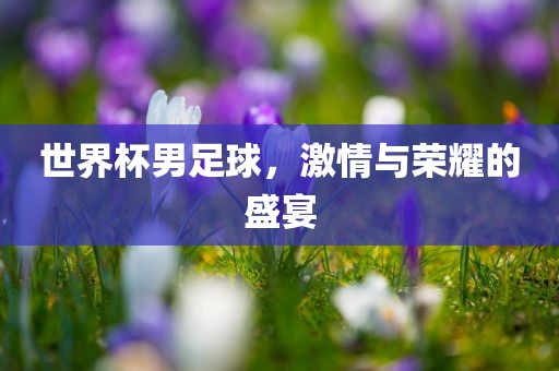 世界杯男足球，激情与荣耀的盛宴漯河市盈旭机械设备有限公司
