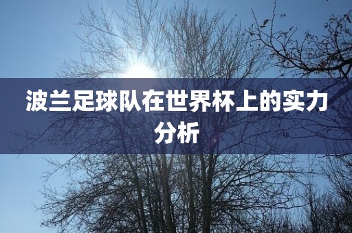 波兰足球队在世界杯上的实力分析漯河市盈旭机械设备有限公司