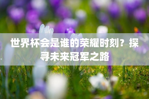 世界杯会是谁的荣耀时刻？探寻未来冠军之路漯河市盈旭机械设备有限公司