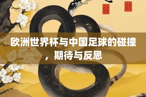欧洲世界杯与中国足球的碰撞，期待与反思