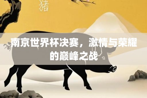 南京世界杯决赛，激情与荣耀的巅峰之战
