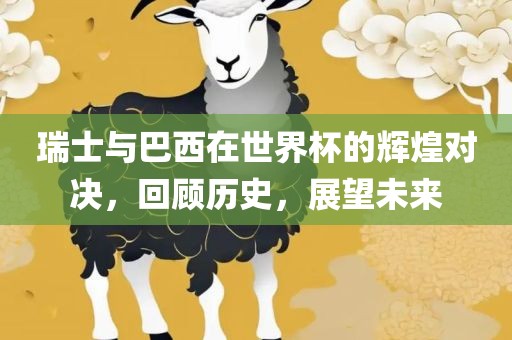瑞士与巴西在世界杯的辉煌对决，回顾历史，展望未来