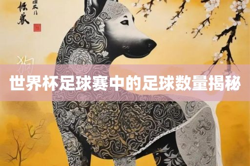 世界杯足球赛中的足球数量揭秘