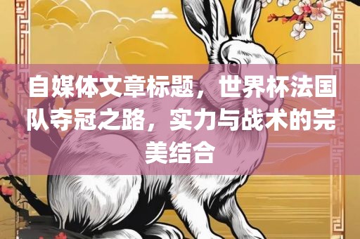 自媒体文章标题，世界杯法国队夺冠之路，实力与战术的完美结合