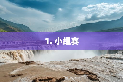 1. 小组赛