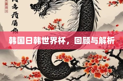 韩国日韩世界杯，回顾与解析