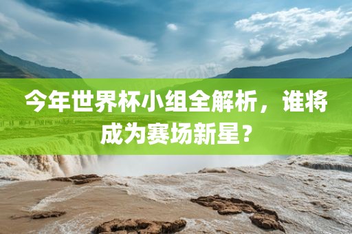 今年世界杯小组全解析，谁将成为赛场新星？
