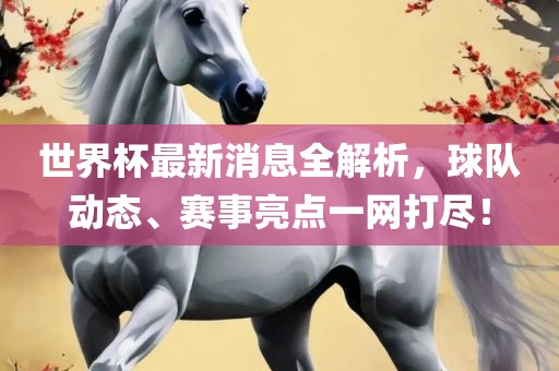 世界杯最新消息全解析，球队动态、赛事亮点一网打尽！