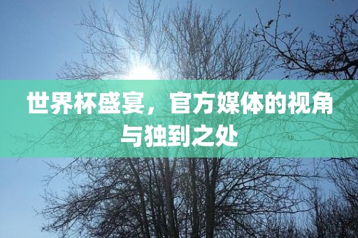 世界杯盛宴，官方媒体的视角与独到之处