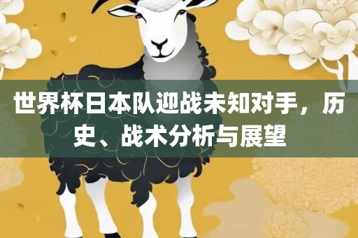 世界杯日本队迎战未知对手，历史、战术分析与展望