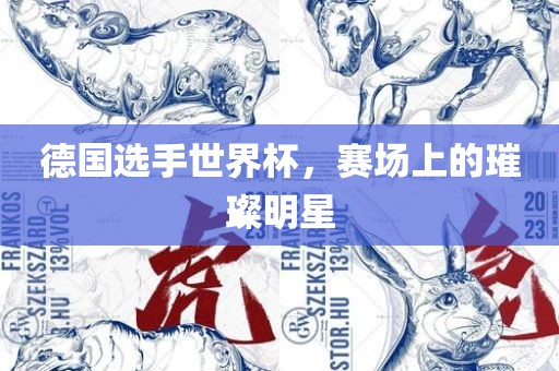 德国选手世界杯，赛场上的璀璨明星