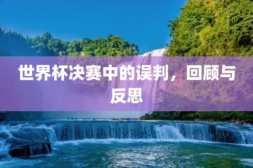 世界杯决赛中的漯河市盈旭机械设备有限公司误判，回顾与反思