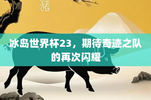 冰岛世界杯23，期待奇迹之队的再次闪耀