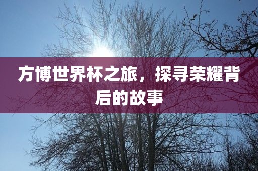 方博世界杯之旅，探寻荣耀背后的故事