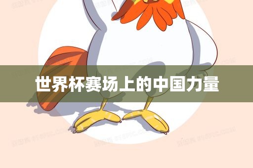 世界杯赛场上的中国力量