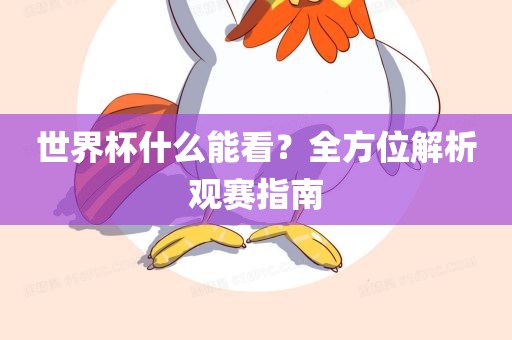 世界杯什么能看？全方位解析观赛指南