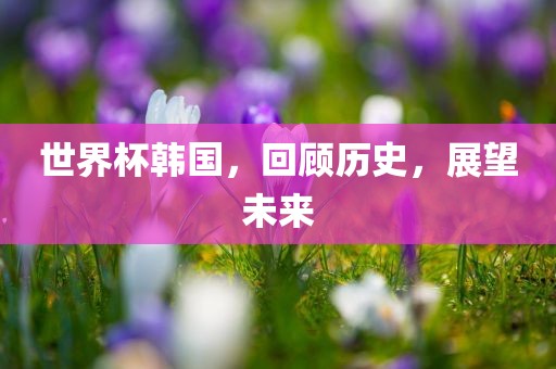 世界杯韩国，回顾历史，展望未来