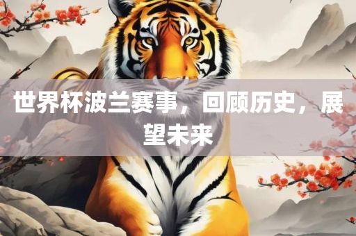 世界杯波兰赛事，回顾历史，展望未来漯河市盈旭机械设备有限公司