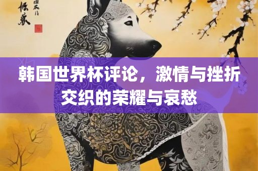 韩国世界杯评论，激情与挫折交织的荣耀与哀愁漯河市盈旭机械设备有限公司