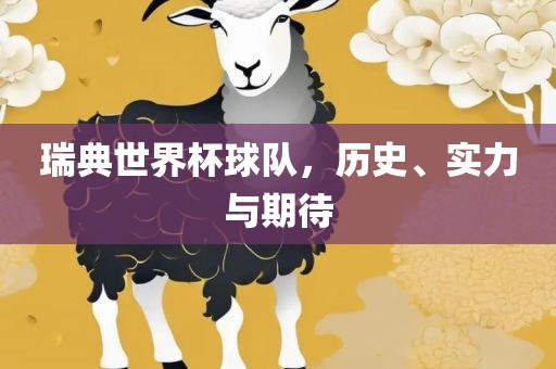 瑞典世界杯球队，历史、实力与期待