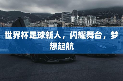 世界杯足球新人，闪耀舞台，梦想起航