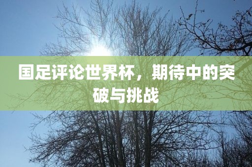 国足评论世界杯，期待中的突破与挑战漯河市盈旭机械设备有限公司