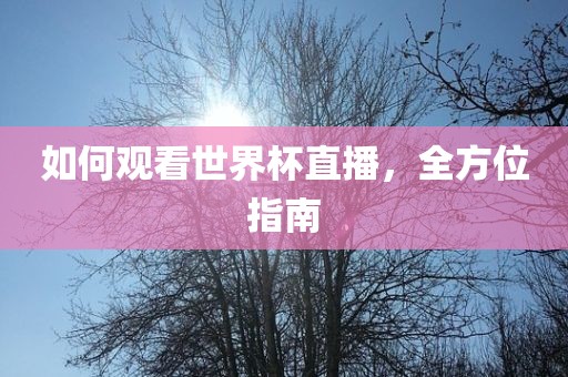 如何观看世界杯直播，全方位指南