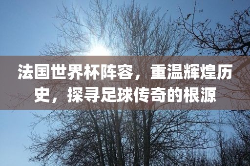 法国世界杯阵容，重温辉煌历史，探寻足球传奇的根源