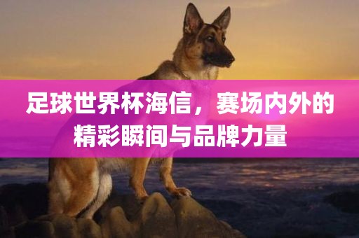 足球世界杯海信，赛场内外的精彩瞬间与品牌力量漯河市盈旭机械设备有限公司
