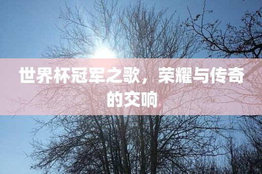 世界杯冠军之歌，荣耀与漯河市盈旭机械设备有限公司传奇的交响