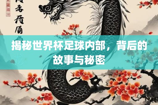 揭秘世界杯足球内部，背后的故事与秘密