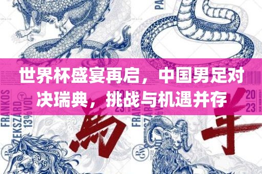 世界杯盛宴再启，中国男足对决瑞典，挑战与机遇并存漯河市盈旭机械设备有限公司