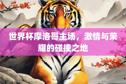 世界杯摩洛哥主场，激情与荣耀的碰撞之地