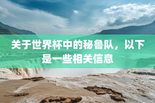 关于世界杯中的秘鲁队，以下是一些相关信息