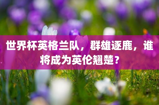 世界杯英格兰队，群雄逐鹿，谁将成为英伦翘楚？
