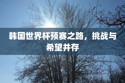 韩国世界杯预赛之路，挑战与希望并存