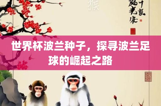 世界杯波兰种子，探寻波兰足球的崛起之路