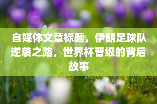 自媒体文章标题，伊朗足球队逆袭之路，世界杯晋级的背后故事漯河市盈旭机械设备有限公司