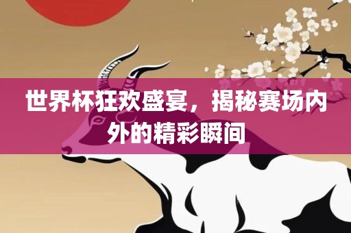 世界杯狂欢盛宴，揭秘赛场内外的精彩瞬间