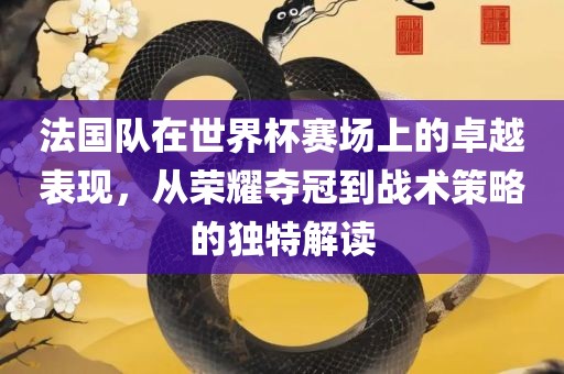 法国队在世界杯赛场上的卓越表现，从荣耀夺冠到战术策略的独特解读