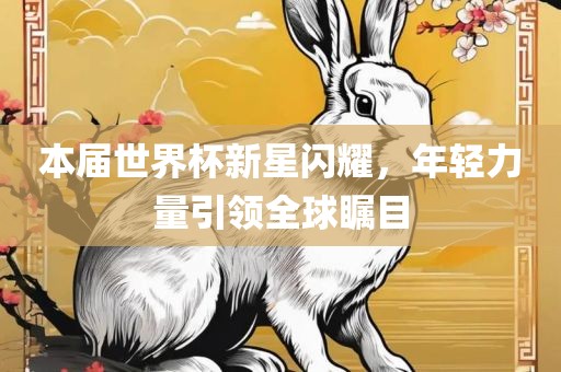 本届世界杯新星闪耀，年轻力量引领全球瞩目